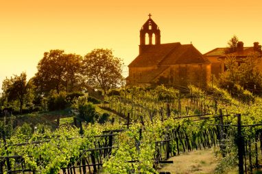 vinograd011.jpg